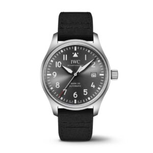 IWC Falsi