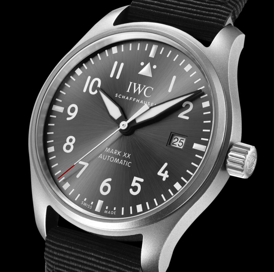 IWC Falsi